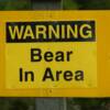 Warning Bear in Area sign in Kananaskis Country, alberta.

VRIDETV.com is VIRTUAL RIDING TELEVISION