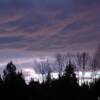 Crows at dusk. Langley, British Columbia, Canada.
VRIDETV.com is VIRTUAL RIDING TELEVISION