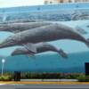 The Wailing Wall IV by Wyland in White Rock, British Columbia Canada. This mural is the fourth in a series of International Murals dedicated to the great whales forever.