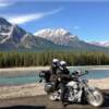 Alongside the Athabasca River as we toured and filmed the incredible Icefields Parkway.
Click on the HD video tab at the top of the page and also the XL video tab to see the entire ride in a four part series