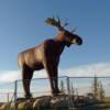 Mac the moose  is the World's largest moose statue standing 32 feet tall. It is located in Moose Jaw, Saskatchewan.
Photo taken on September 12/08.

VRIDETV.com is VIRTUAL RIDING TELEVISION