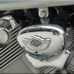 Genuine Harley-Davidson 100th Anniversary Emblem on Chrome Horn cover